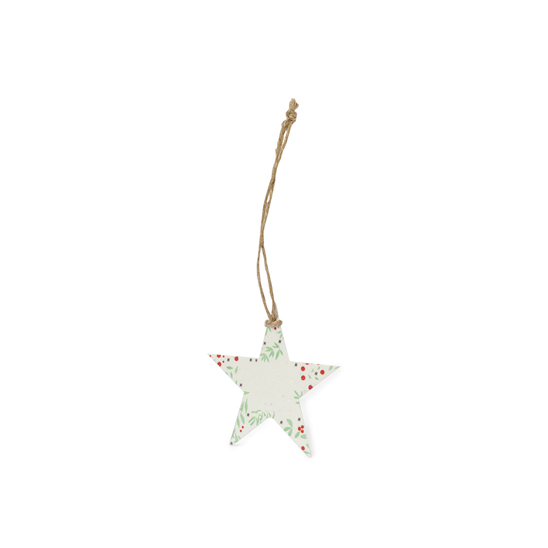 Adorno Semillas Boster - ESTRELLA
