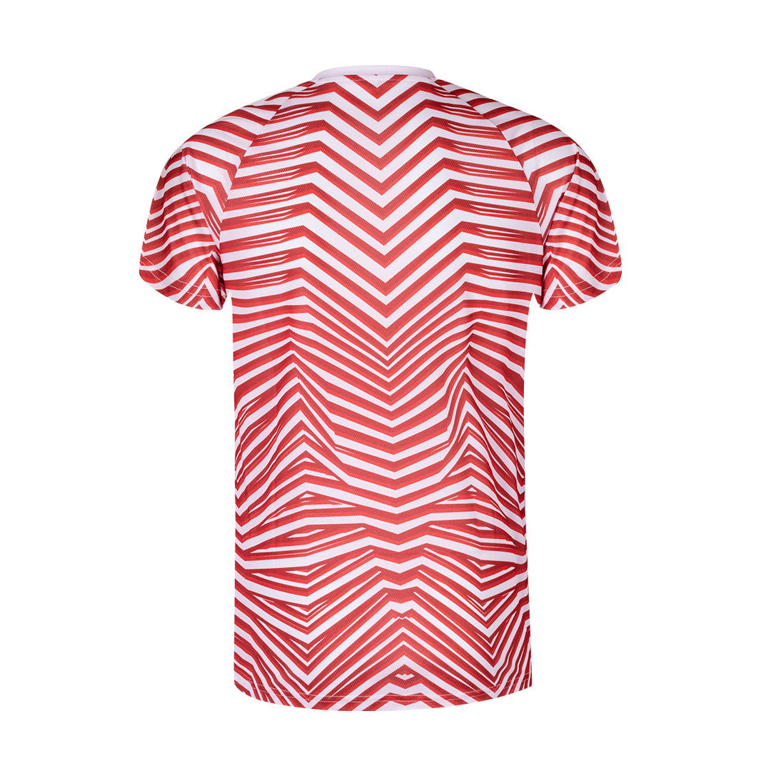 Camiseta Adulto Tingyi