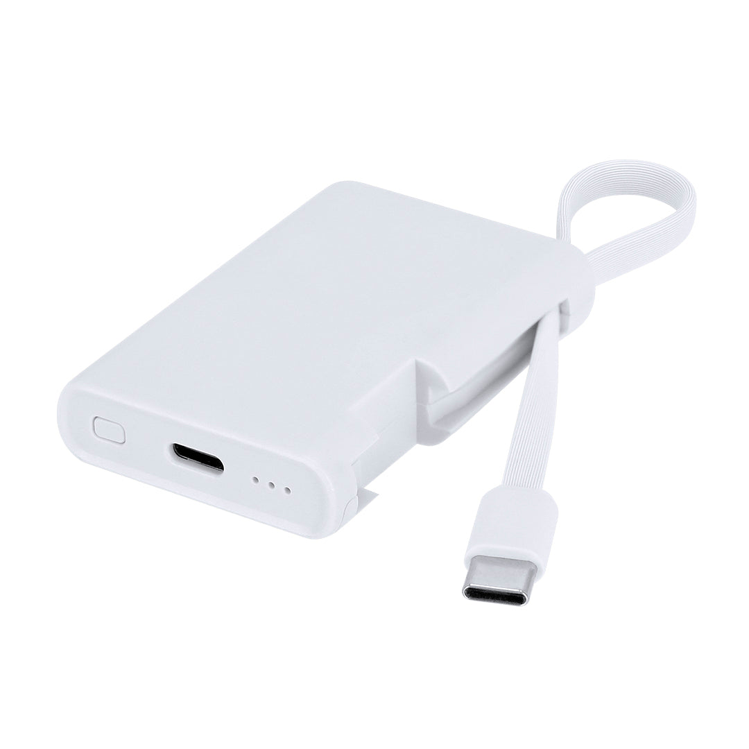 Power Bank Brandin