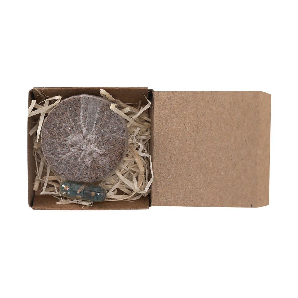 Pack Plantable Aquael - NATURAL