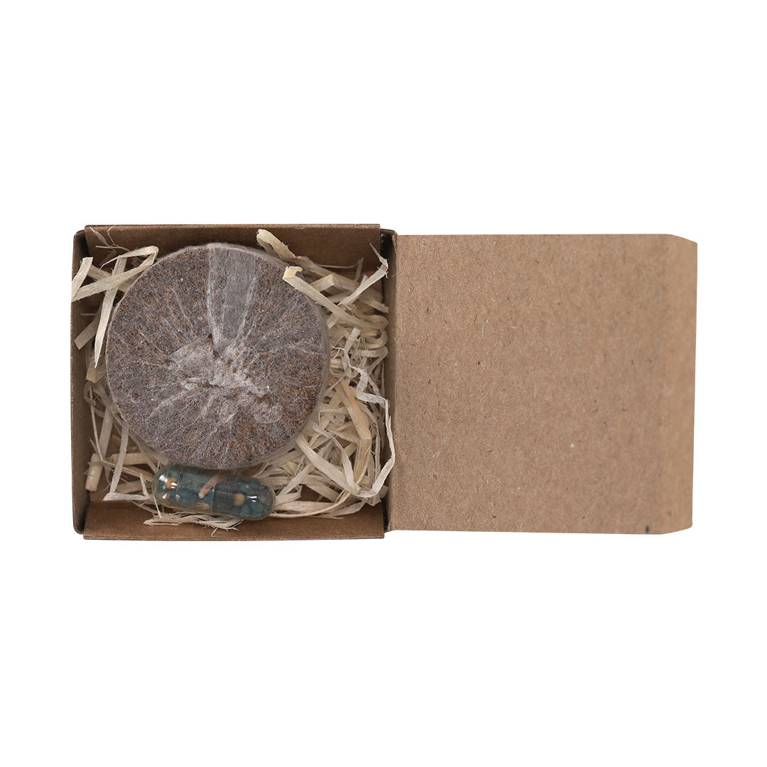 Pack Plantable Aquael - NATURAL